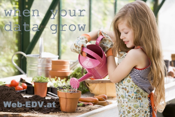 WAYDESIGN Webdesign Web-EDV Gottfried Darmann - 76233196_st_15529651_t WAYDESIGN Webdesign Web-EDV Gottfried Darmann - 76233196_st_15529651_t